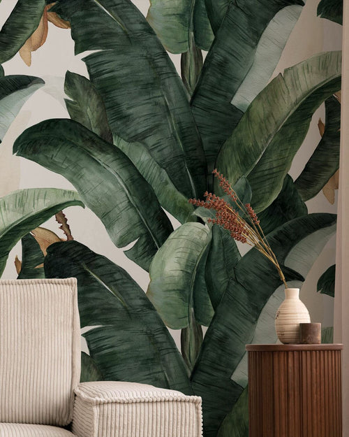Botanique Banane P2.jpg